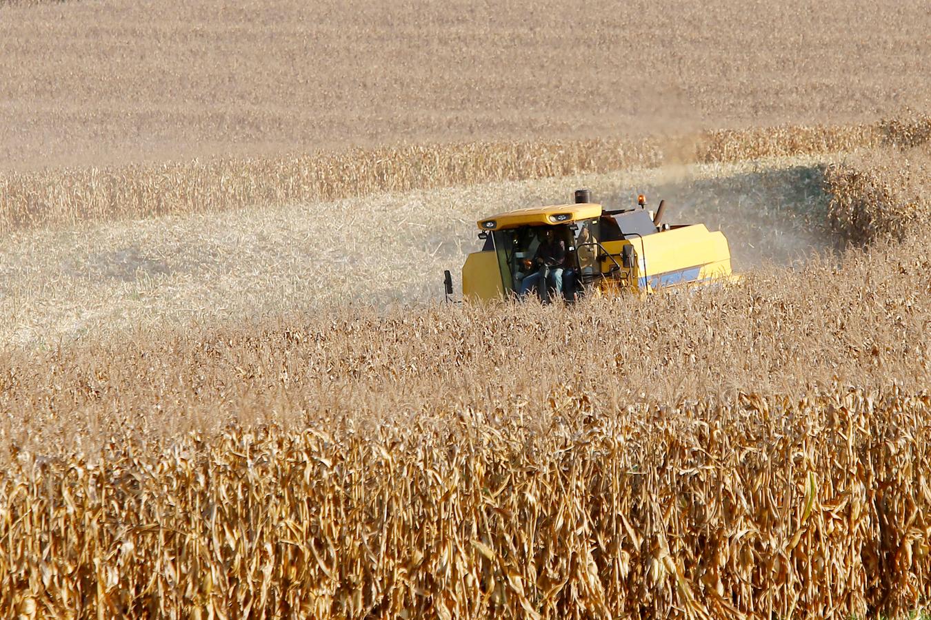 Paraná desponta como novo polo de etanol de milho com salto de 71% na produção