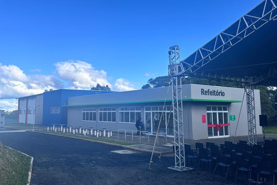 Rascunho automático
