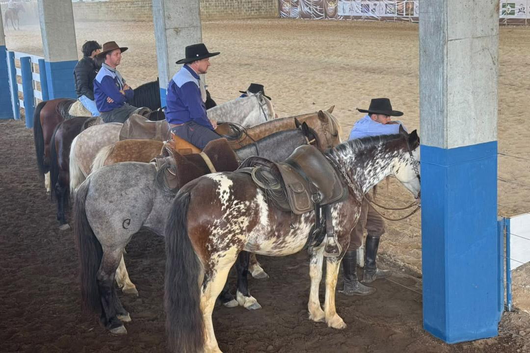 36º Rodeio Crioulo de Integração de Irati inicia hoje