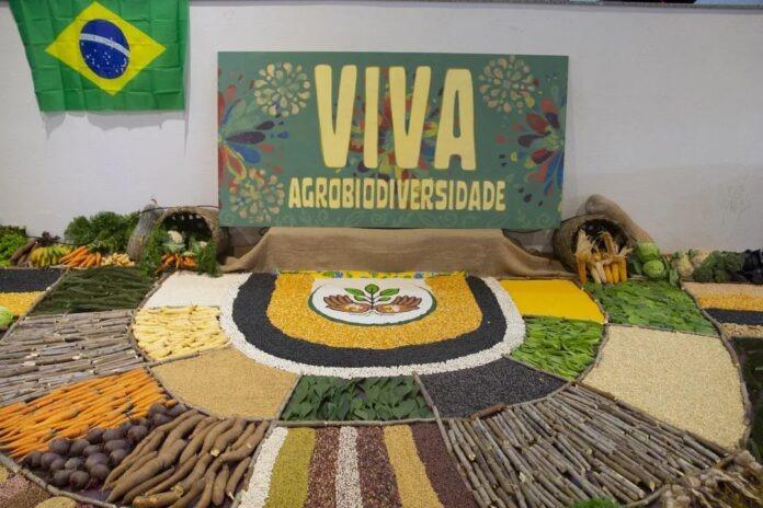 Coletivo Triunfo promove seminário para reconstruir a memória da agricultura familiar e pensar o futuro da região