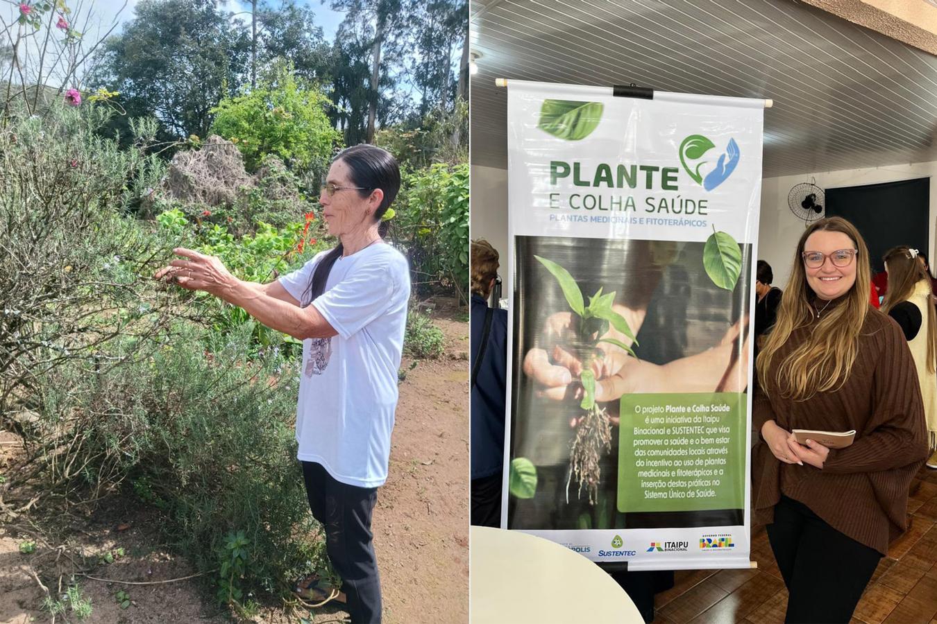 Da sabedoria do quintal à ciência: Rebouças une tradição, fitoterapia segura e memória cultural