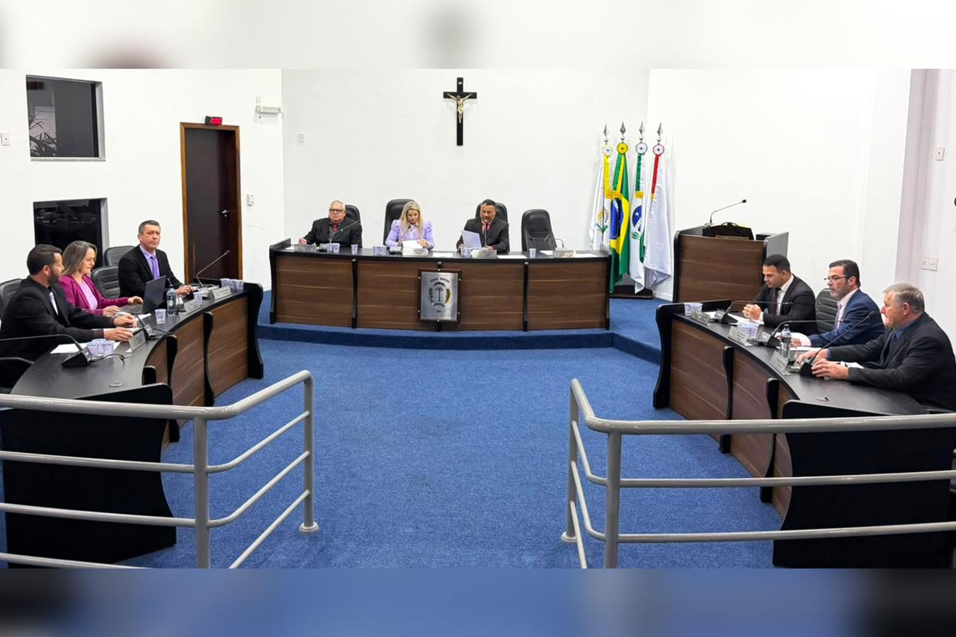 Vereadores de Irati apresentam demandas por melhorias em infraestrutura, saúde, transporte e proteção animal em Irati