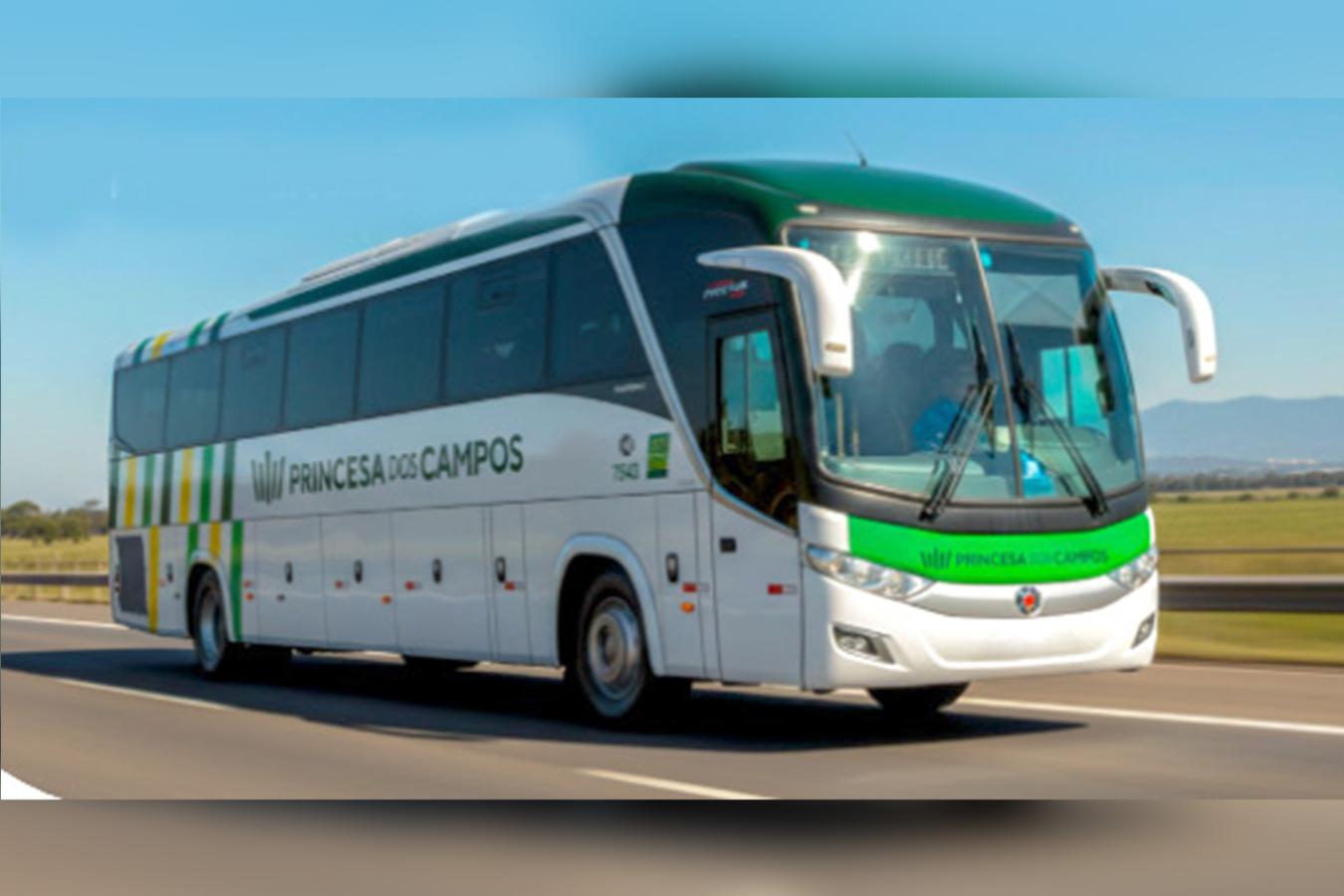 Rascunho automático