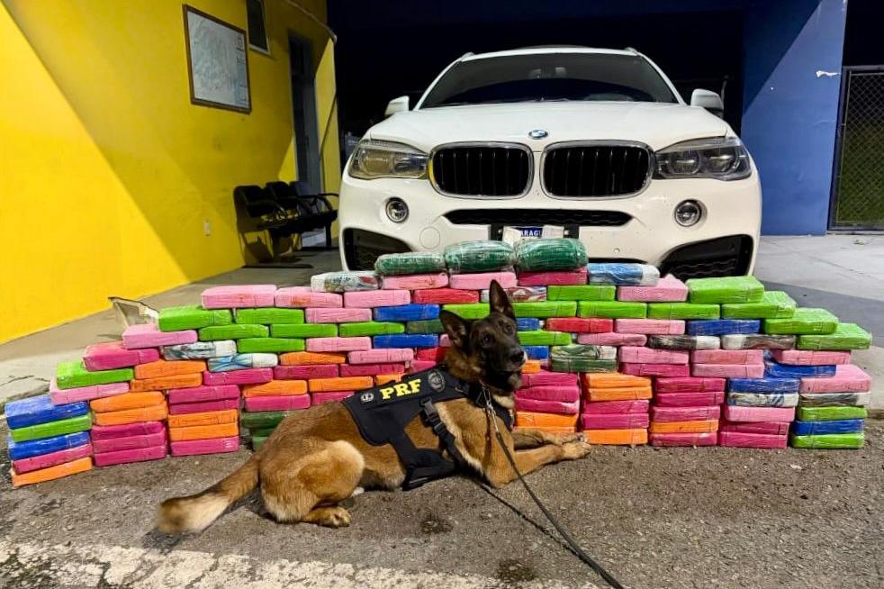 Rascunho automático
